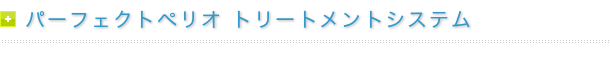パーフェクトペリオ トリートメントシステム